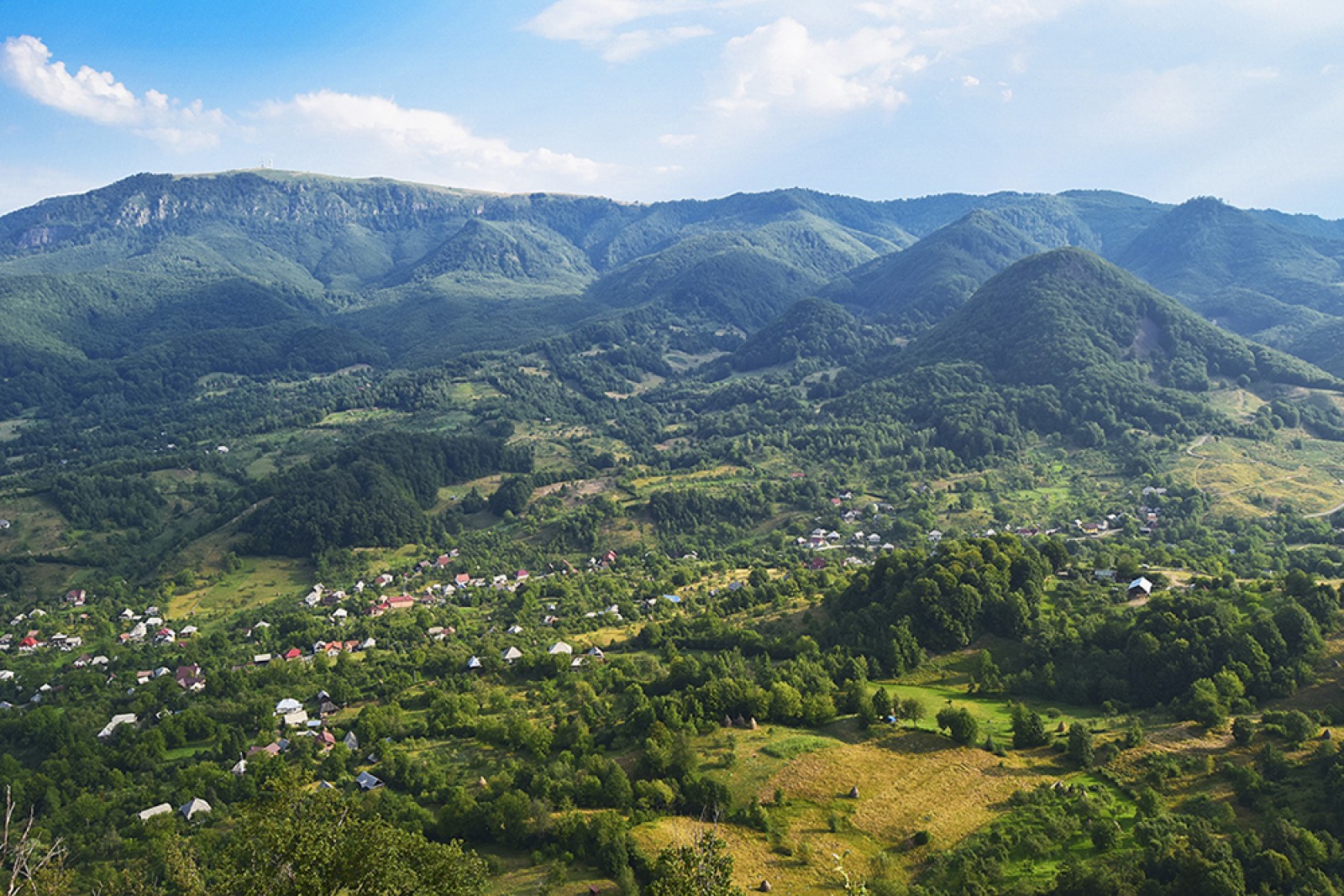 REZERVAȚIA FOSILIFERĂ