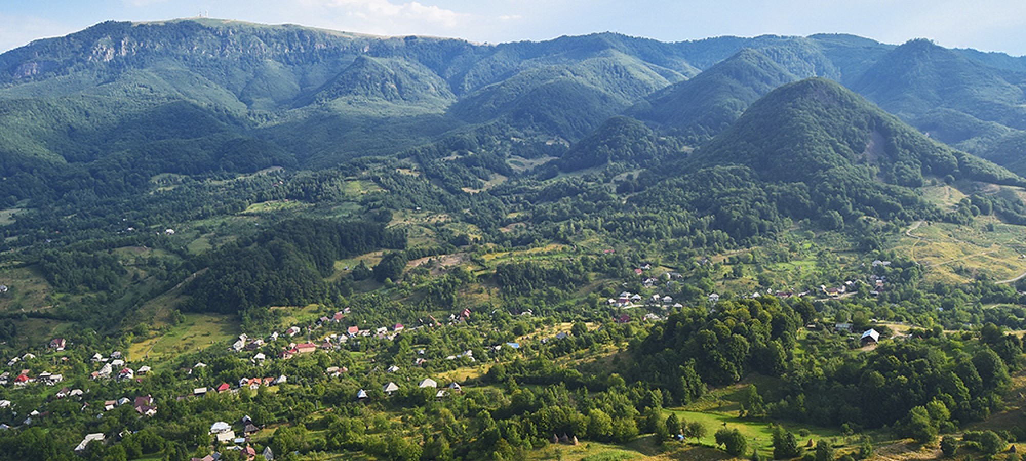 REZERVAȚIA FOSILIFERĂ