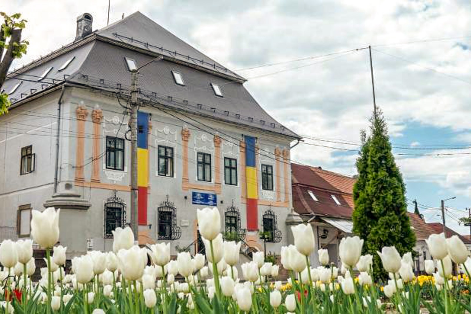 PRIMĂRIA BAIA SPRIE