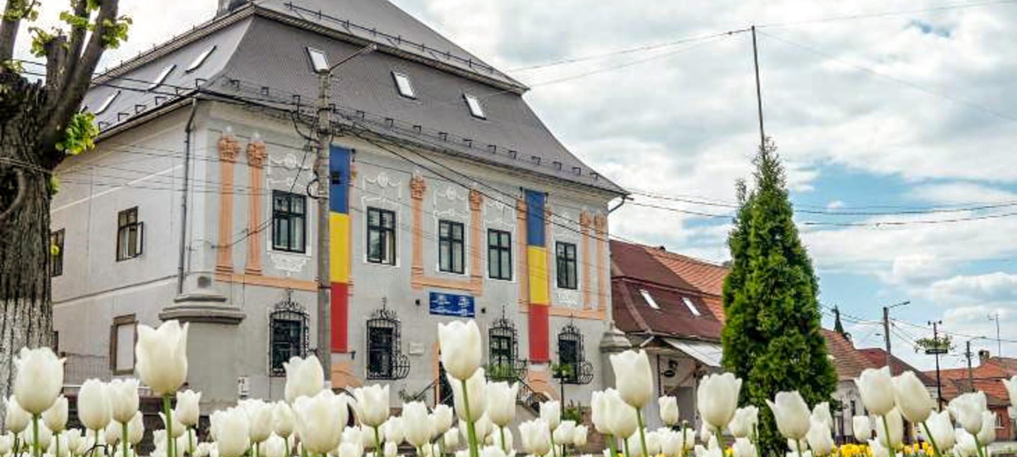 PRIMĂRIA BAIA SPRIE