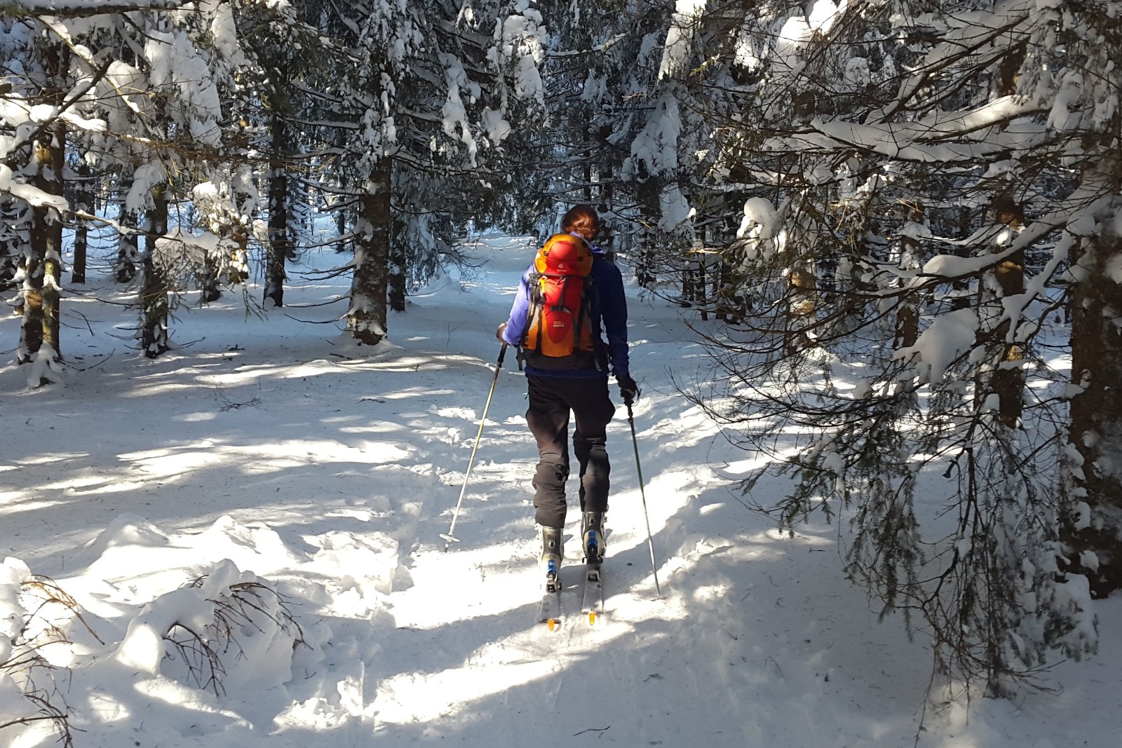 TURE GHIDATE PE SCHIURI