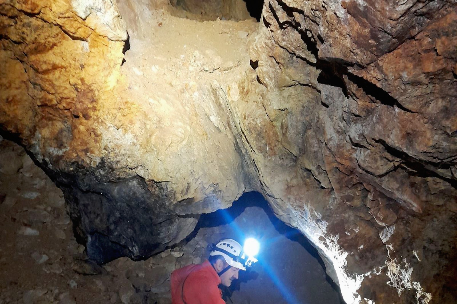 TURE GHIDATE ÎN PARCUL MINELOR