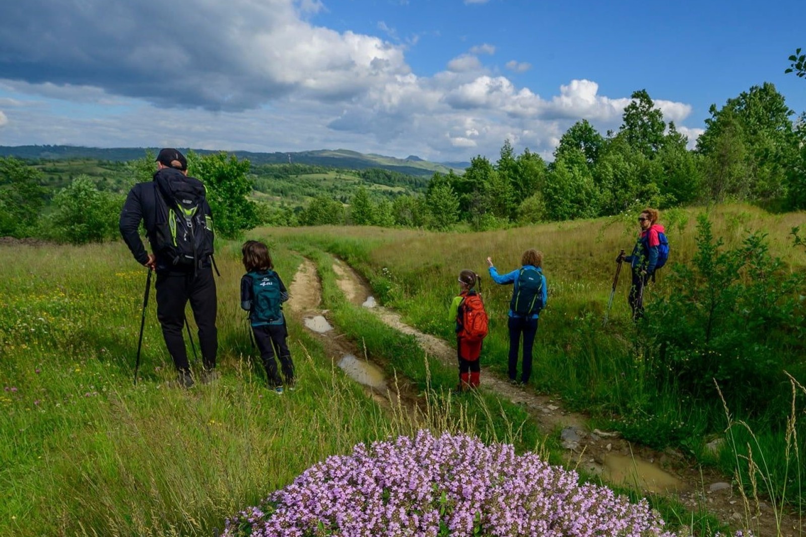 OBSERVAREA FLOREI ȘI FAUNEI LOCALE