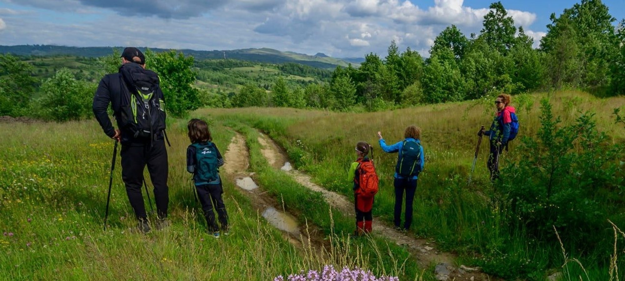 OBSERVAREA FLOREI ȘI FAUNEI LOCALE