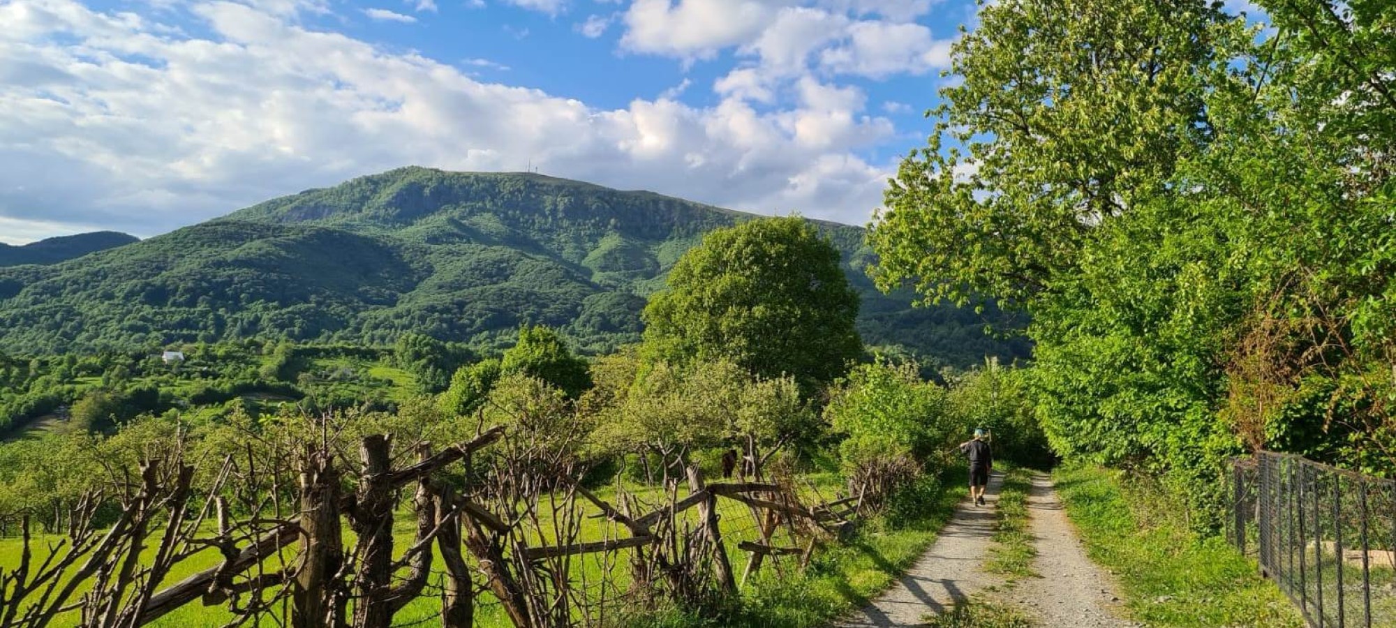 TRASEU CROS 10K LACUL ALBASTRU - CHIUZBAIA