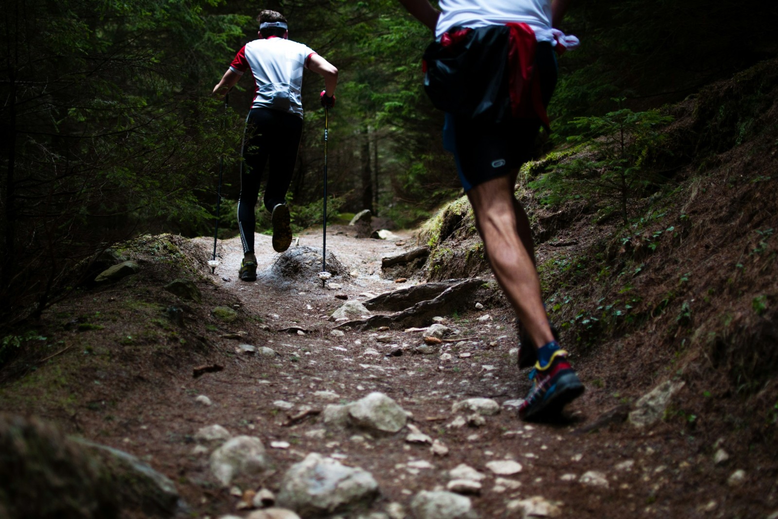 TRASEU CROS 10K MOGOȘA RACE
