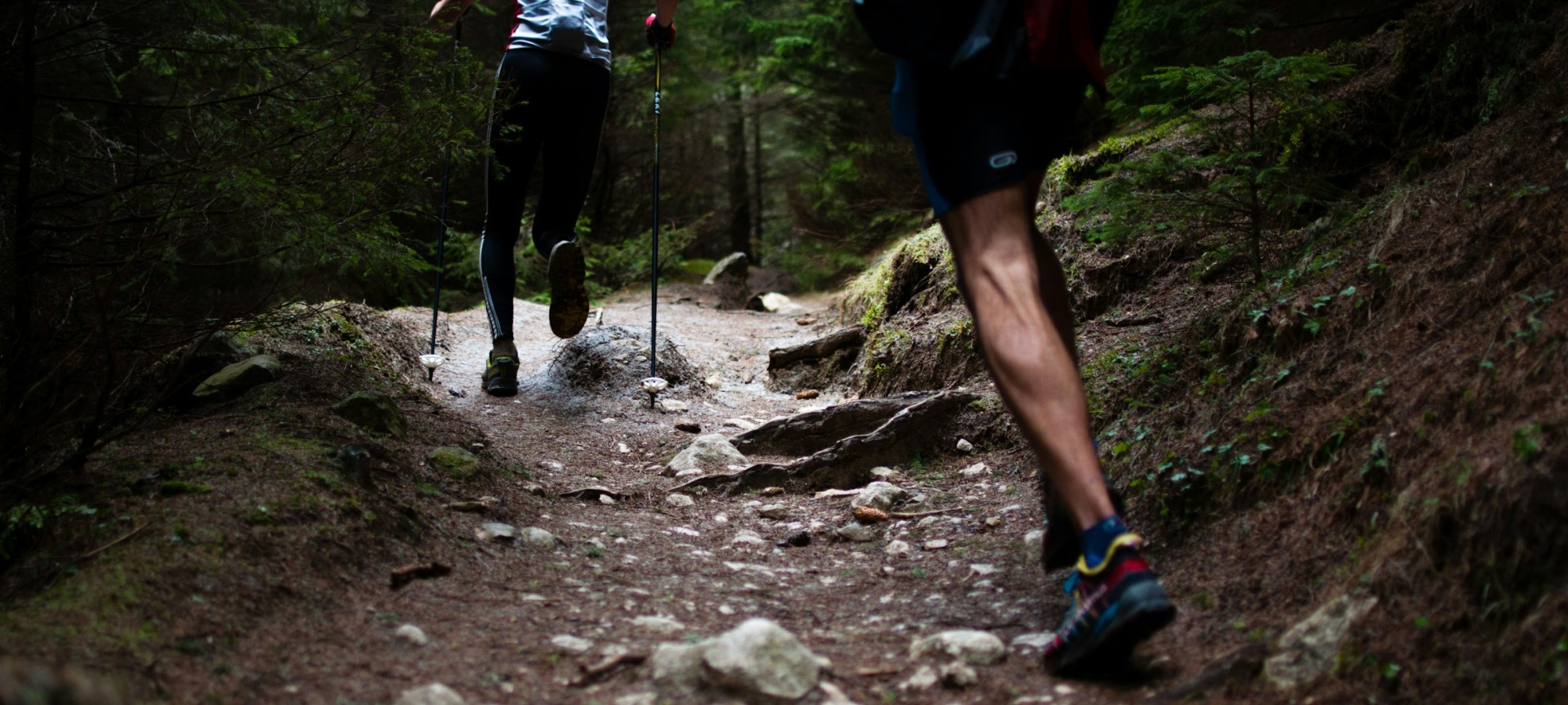 TRASEU CROS 10K MOGOȘA RACE